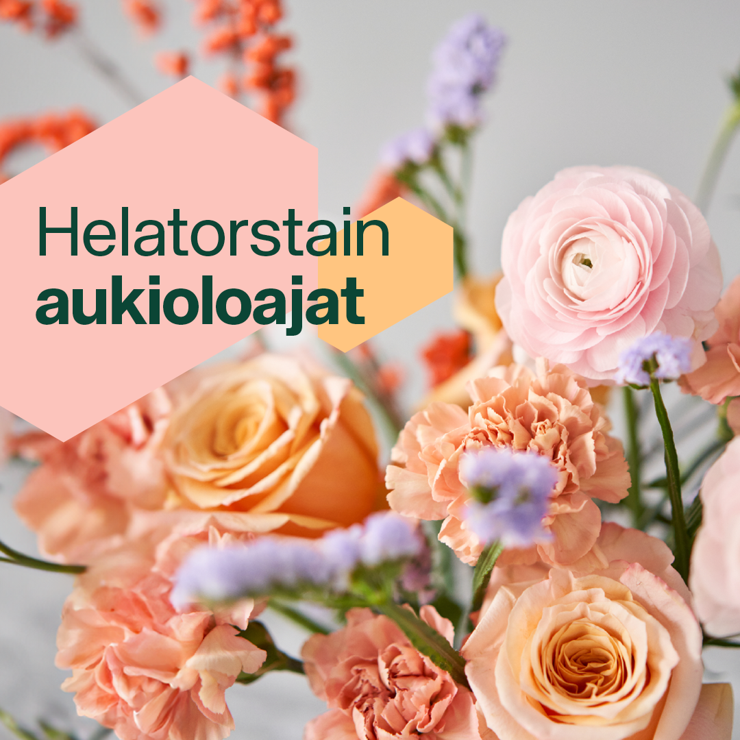 IsoKristiinan Helatorstain aukioloajat